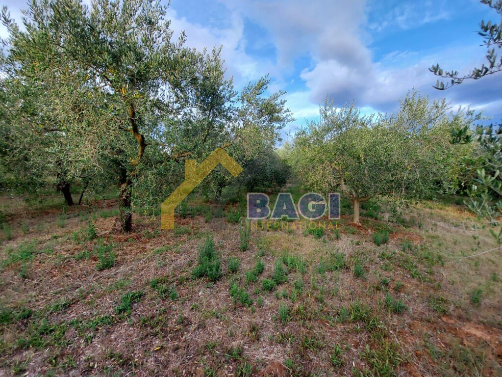 Image 4742916 - 2