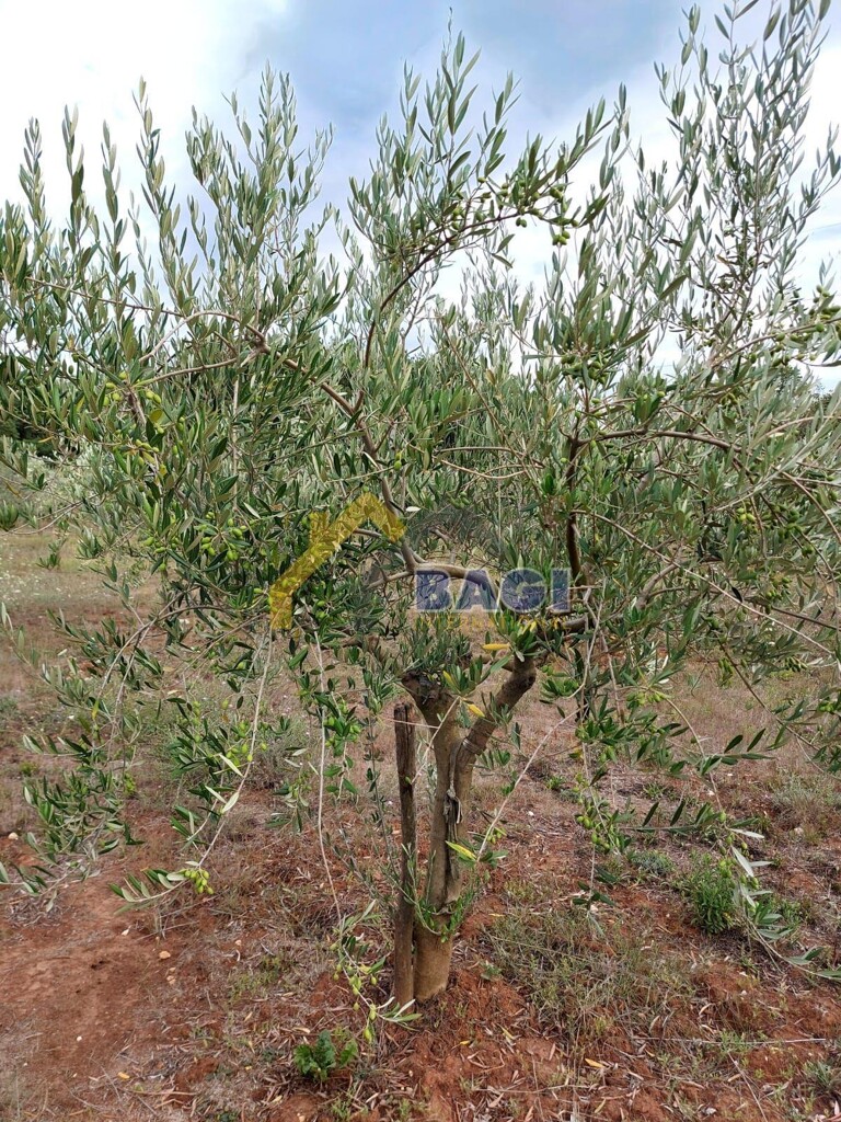 Image 4742918 - 3