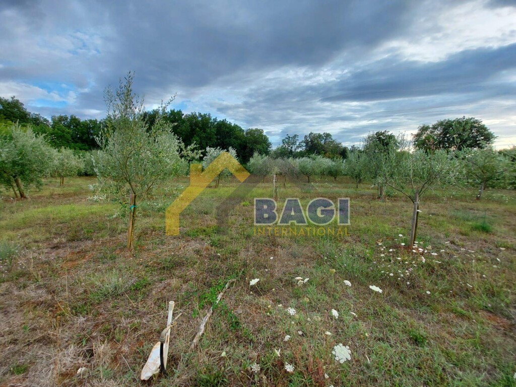 Image 4742918 - 2