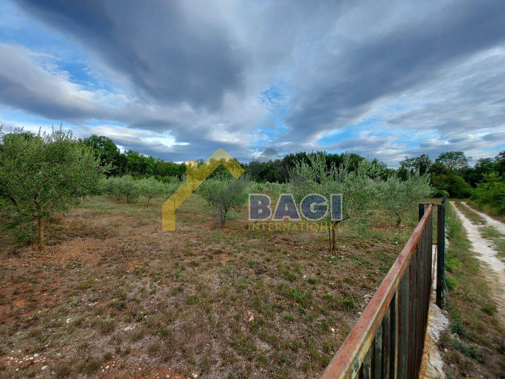 Image 4742918 - 4
