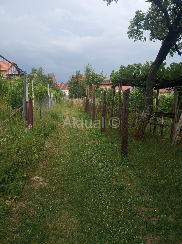 Image 4743906 - 8