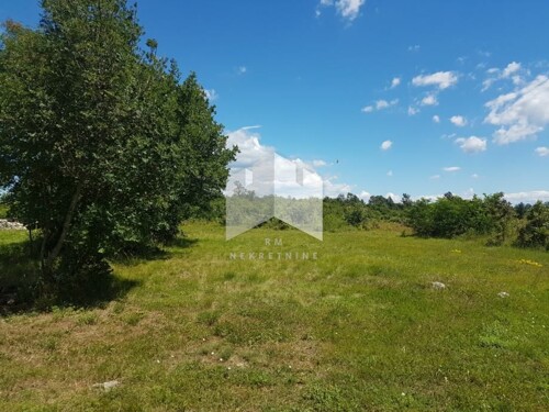 Barban, zemljište 40.000m2