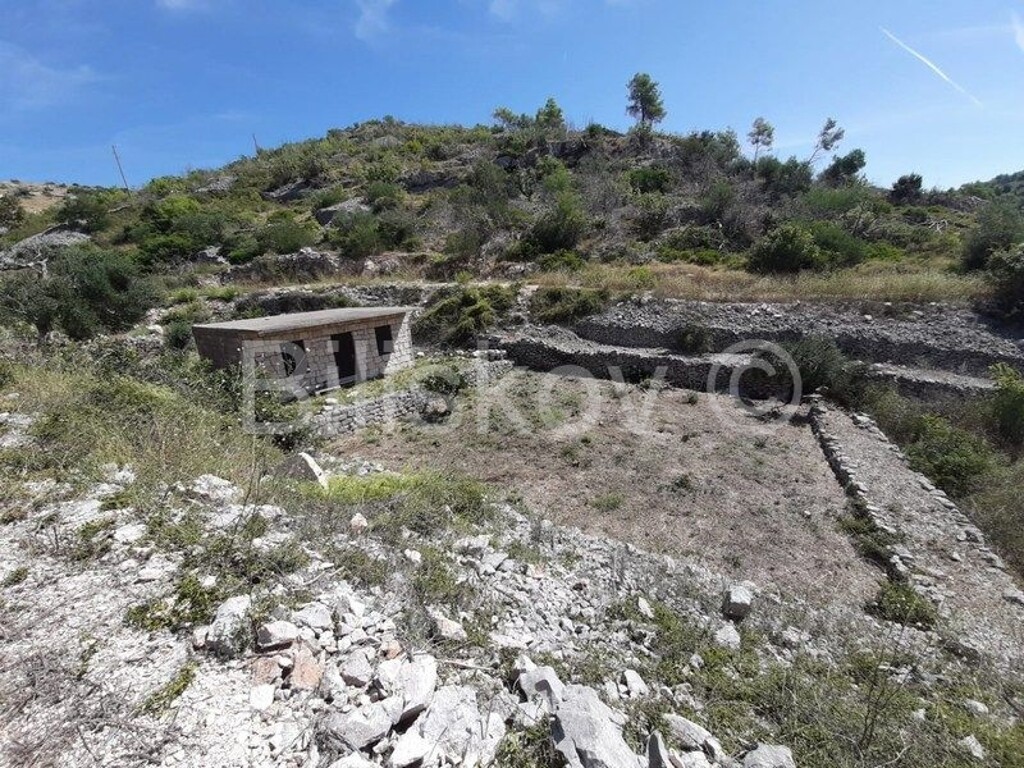Image 4769374 - 2