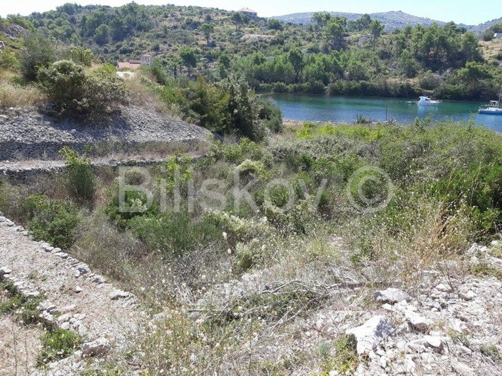 Image 4769374 - 1