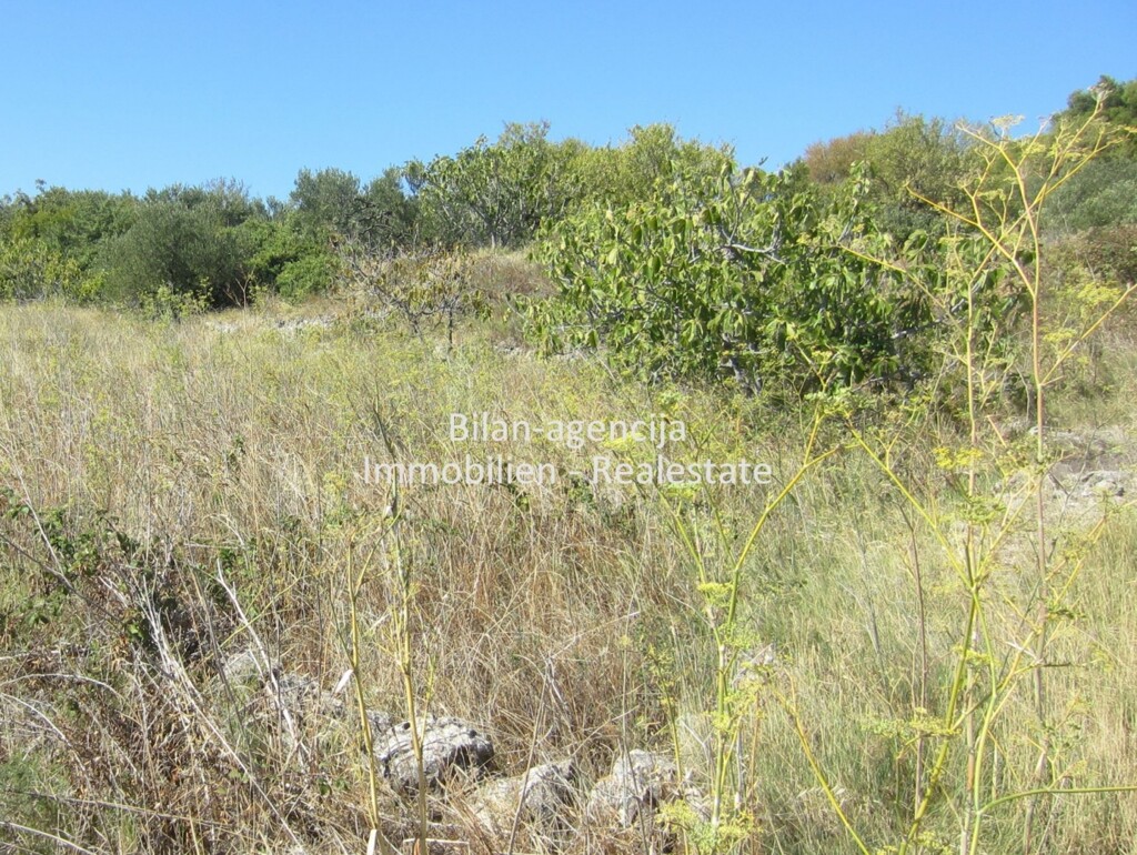Image 4771728 - 5