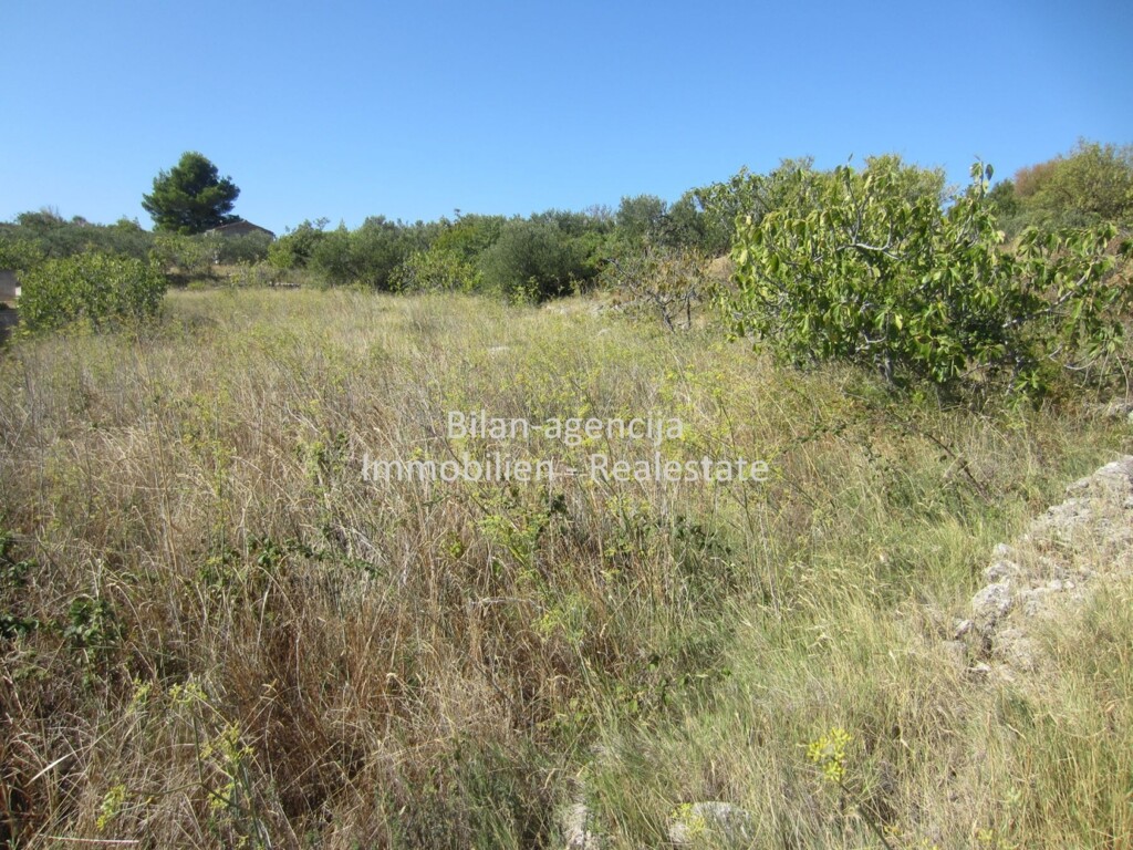 Image 4771728 - 3