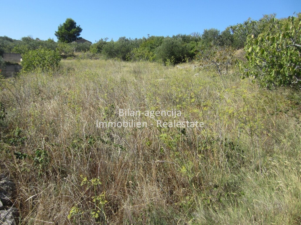 Image 4771728 - 2