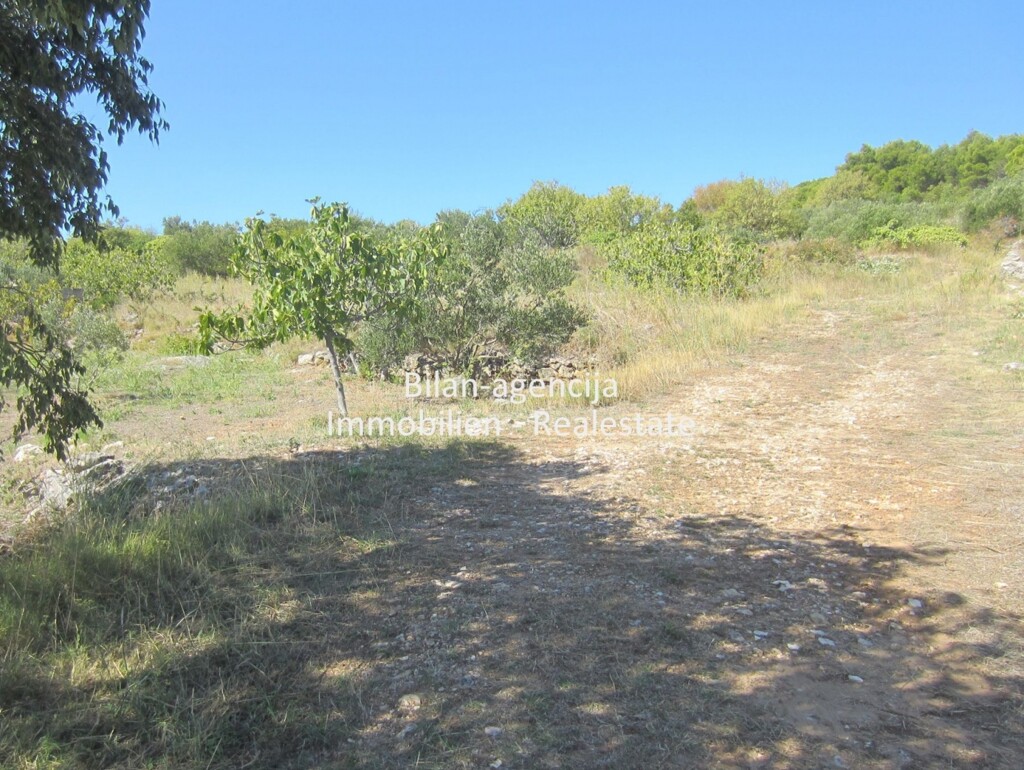 Image 4771728 - 6