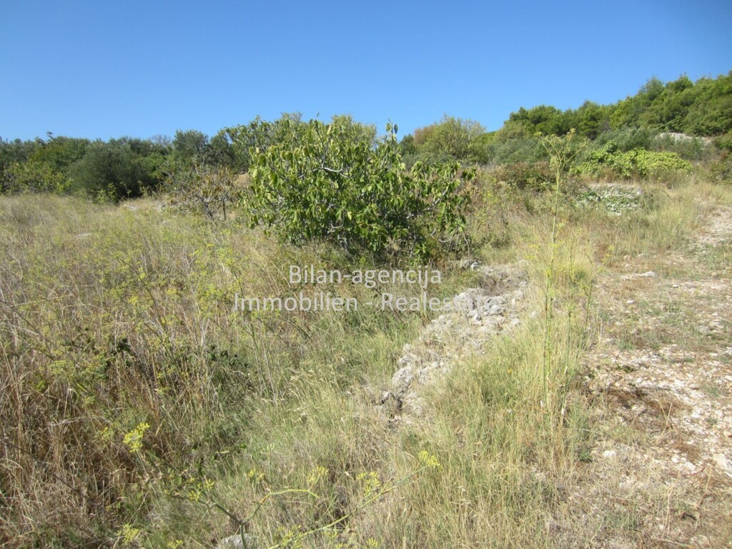 Image 4771728 - 4