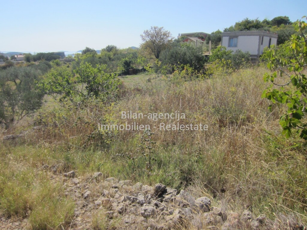 Image 4771728 - 1