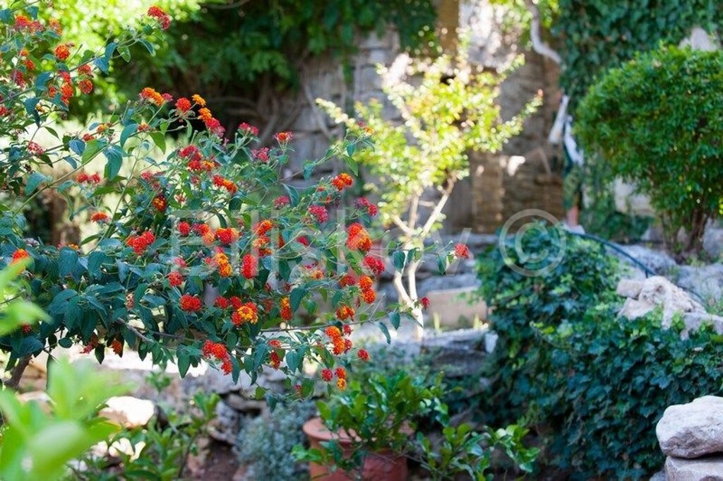 Image 4772465 - 36