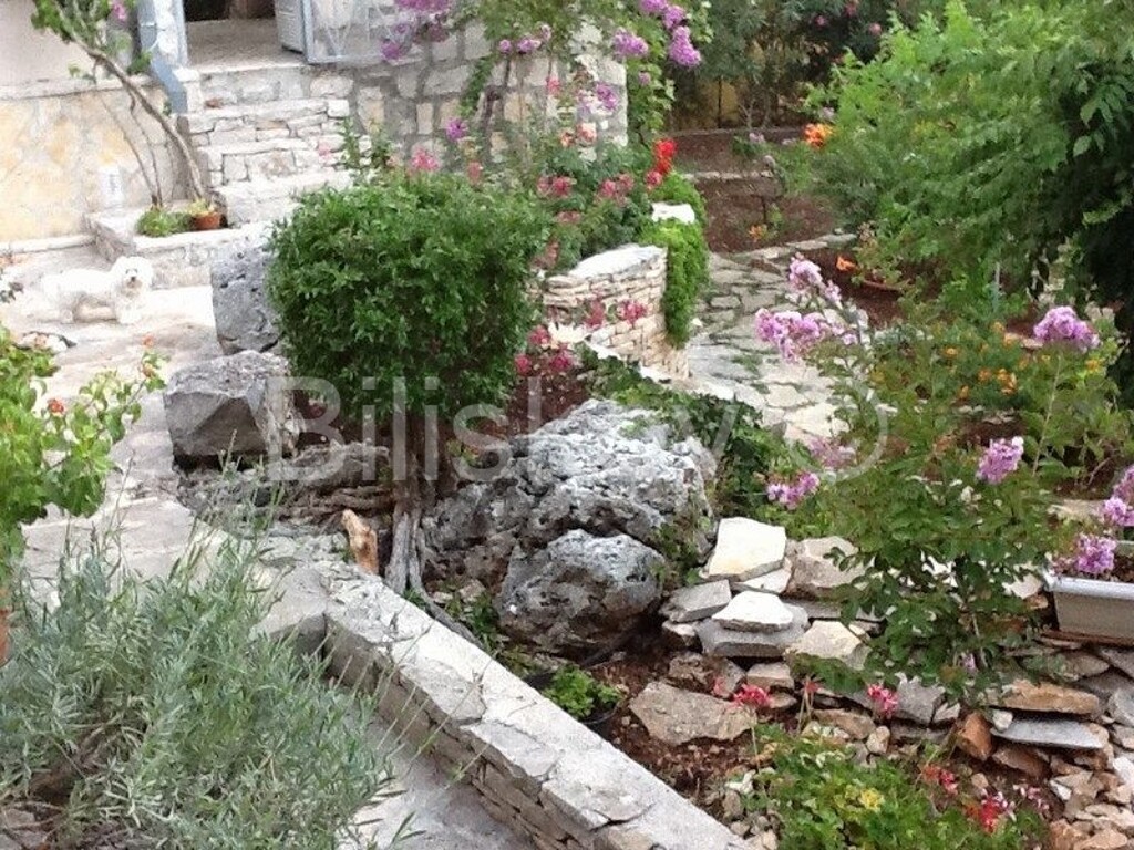 Image 4772465 - 35