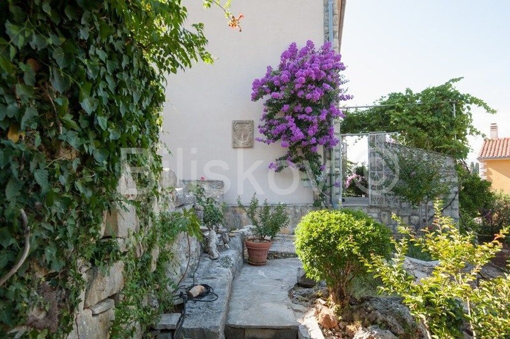 Image 4772465 - 29