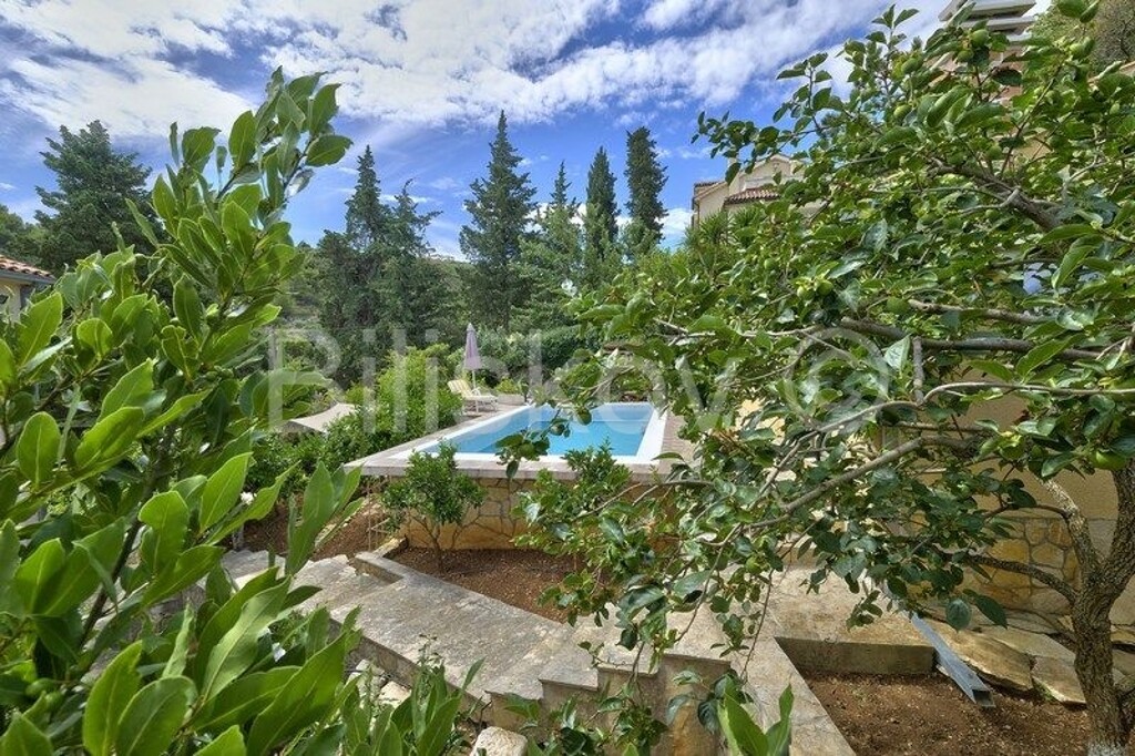 Image 4772465 - 3