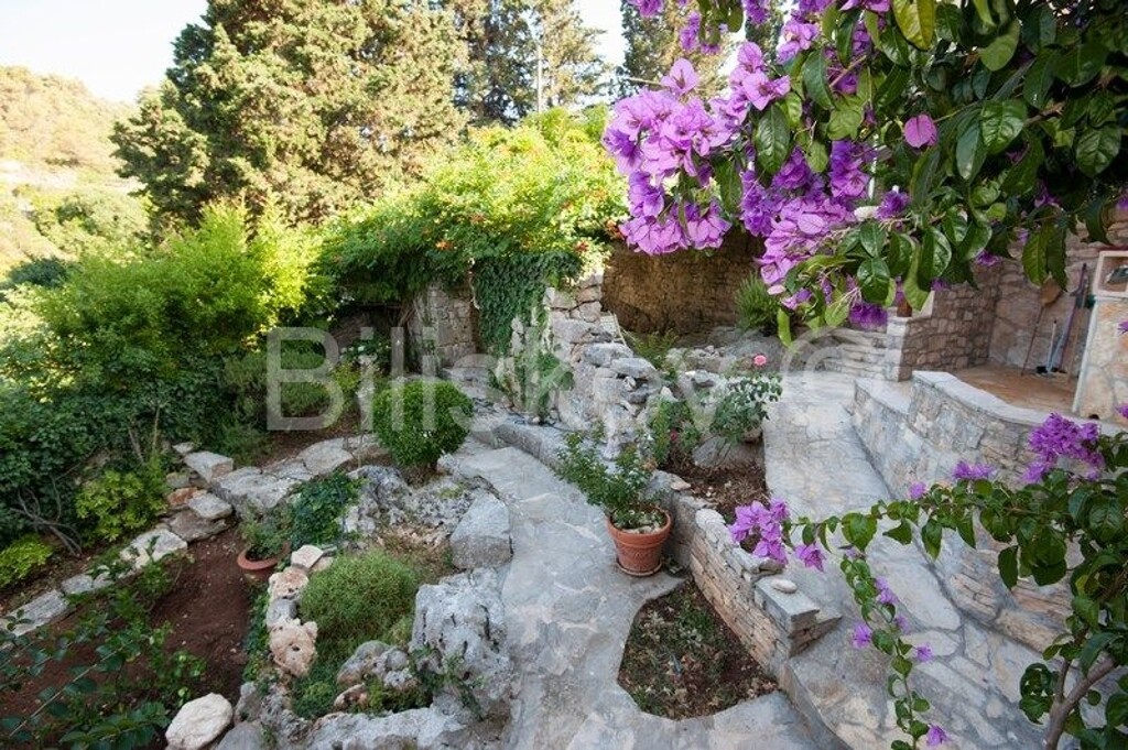 Image 4772465 - 31