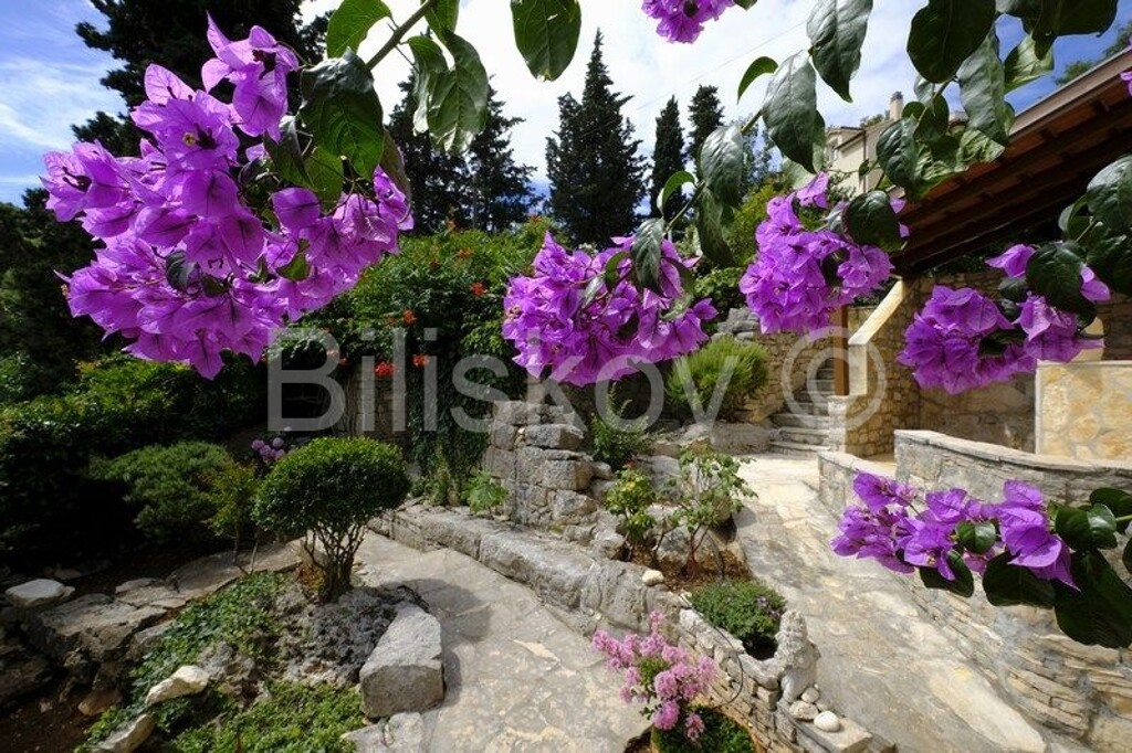 Image 4772465 - 5