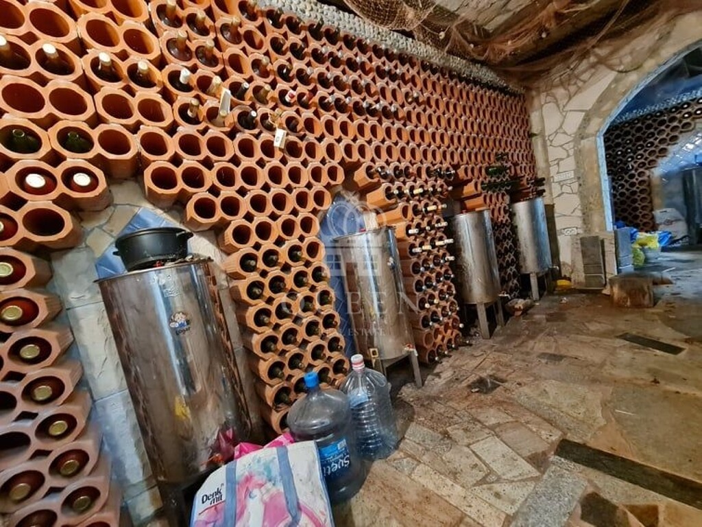 Image 4772491 - 9