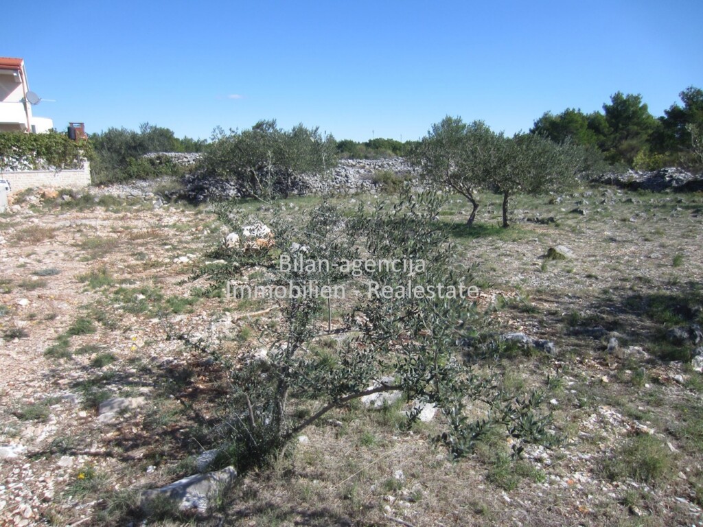 Image 4778255 - 10