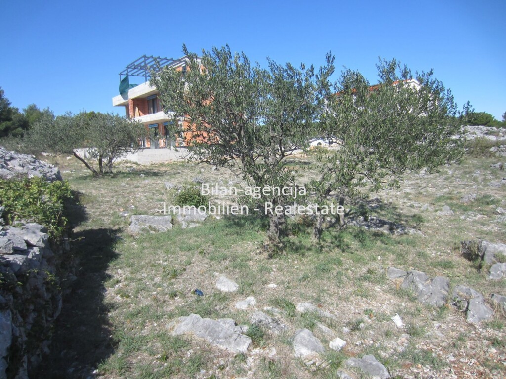 Image 4778255 - 6