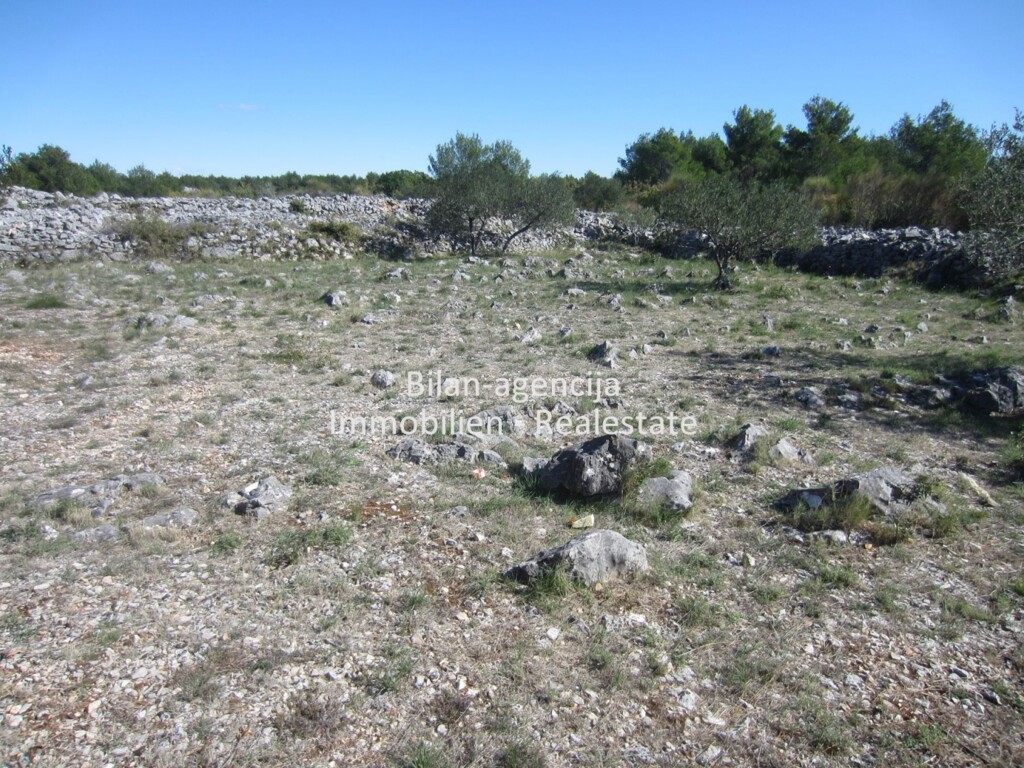 Image 4778255 - 9