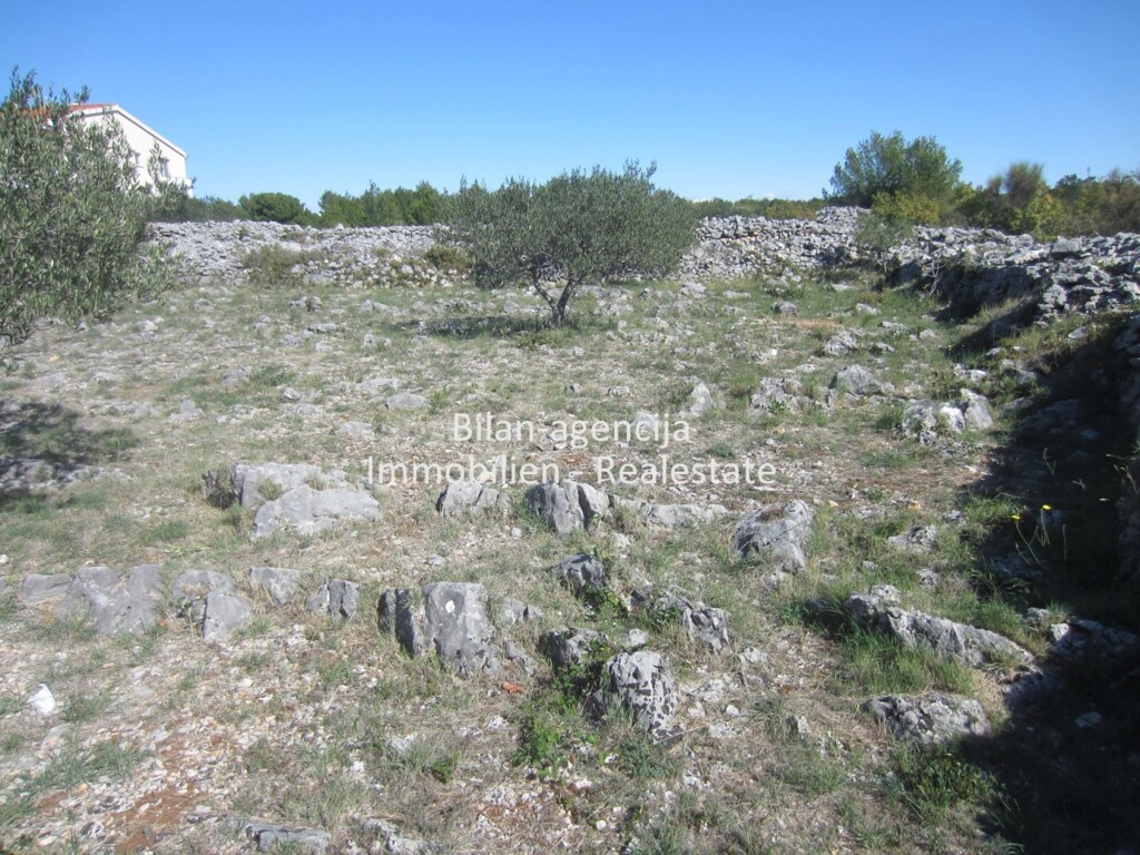 Image 4778255 - 5