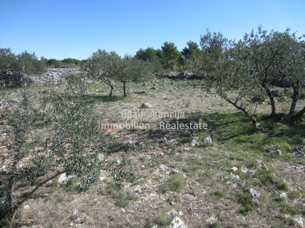 Image 4778255 - 11