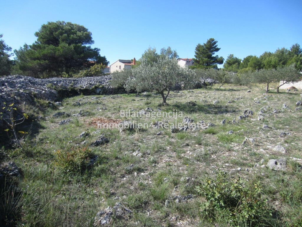 Image 4778255 - 3