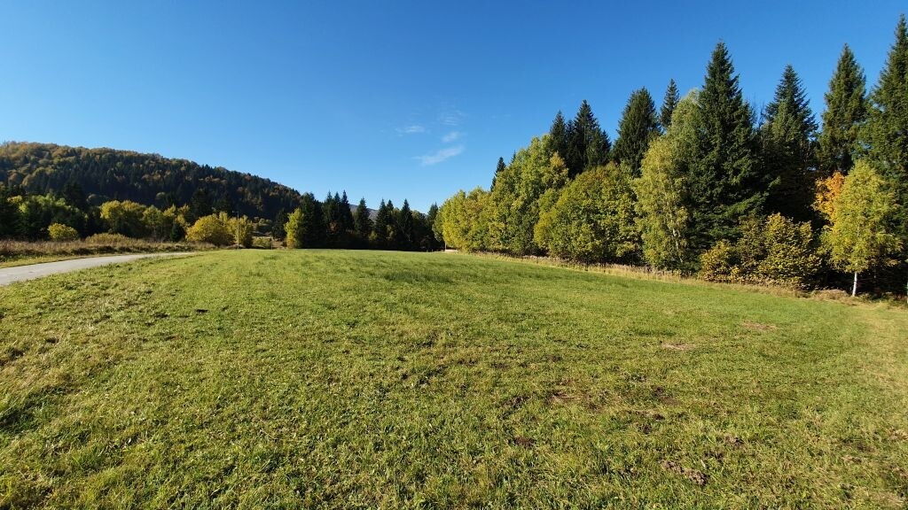Image 4780665 - 3