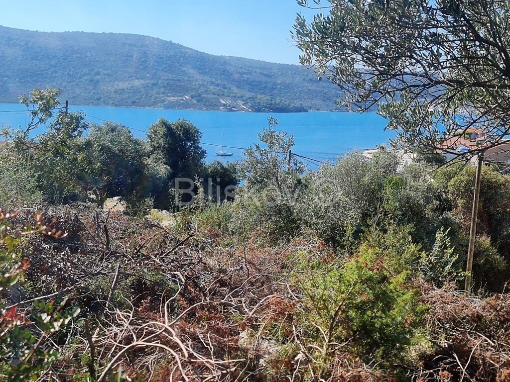 Image 4781958 - 2