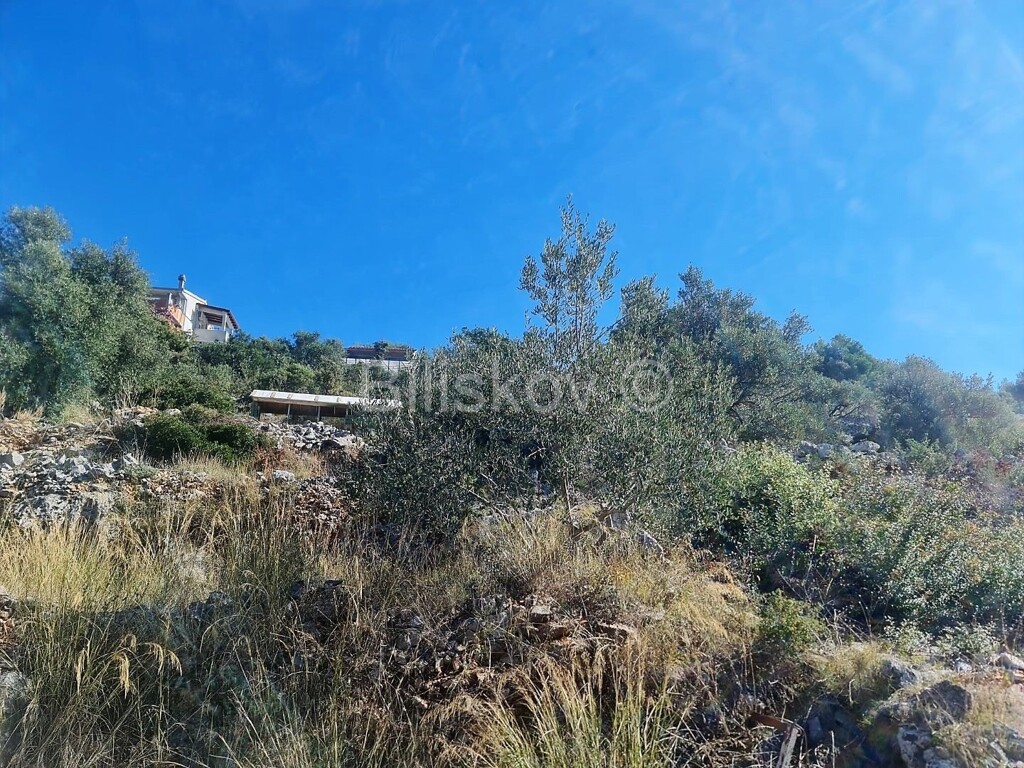 Image 4781958 - 5