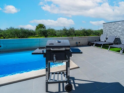 Thumbnail 4782856 - 3