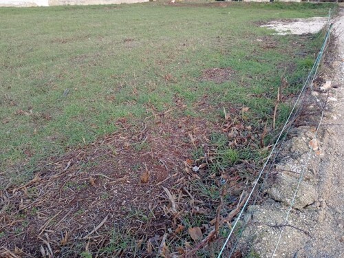 Thumbnail 4782857 - 3