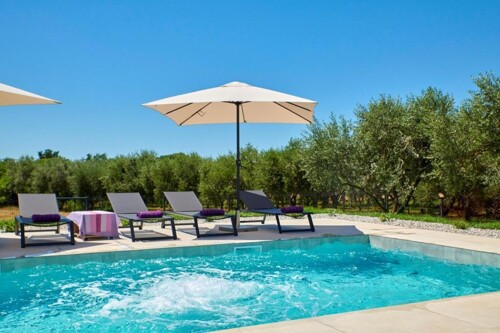 Thumbnail 4782863 - 6