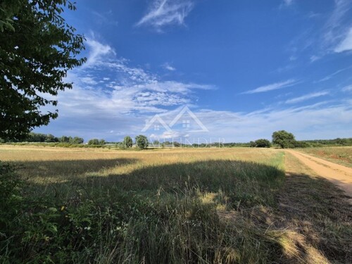 Prostrano poljoprivredno zemljište, Kaštelir, 32619m²