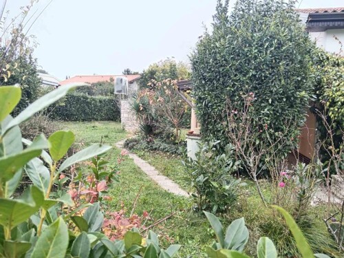 Thumbnail 4782880 - 3