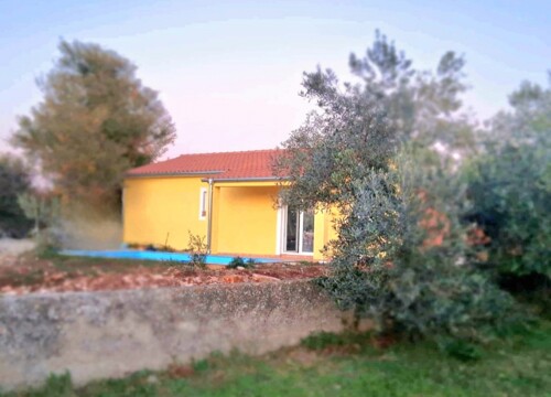 Thumbnail 4782895 - 4