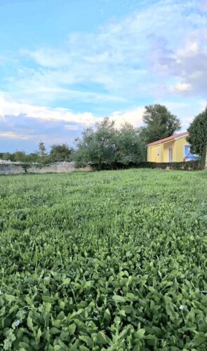 Thumbnail 4782895 - 6