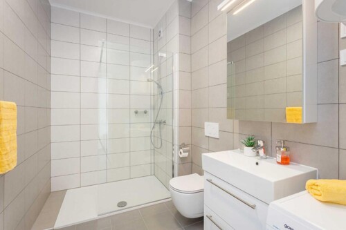 Thumbnail 4782897 - 4