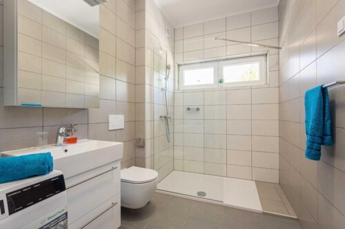 Thumbnail 4782899 - 5