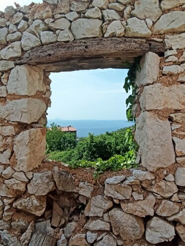 Thumbnail 4782915 - 5