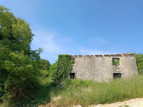 Thumbnail 4782915 - 4