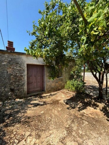 Thumbnail 4782920 - 5