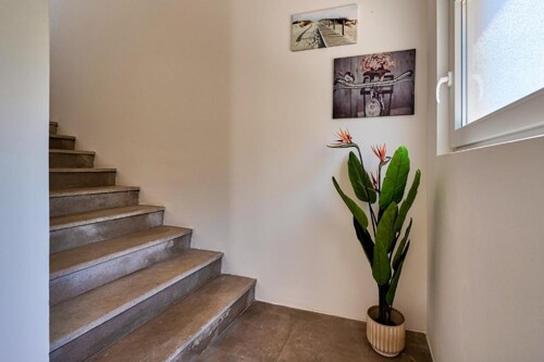 Thumbnail 4782929 - 21