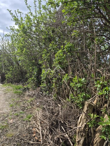 Građevinsko zemljište, 1000m2, Gornje Vrapče