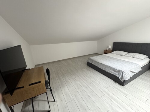 Thumbnail 4782954 - 4