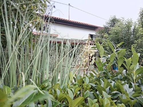 EKSKLUZIVNA LOKACIJA SAMO 200 M OD MORA, UMAG,PRILIKA