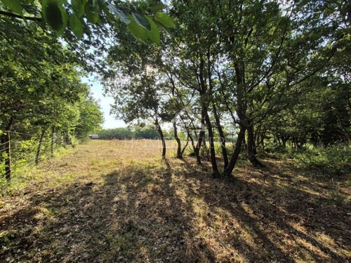 Prostrano poljoprivredno zemljište, Kaštelir, 24118m²