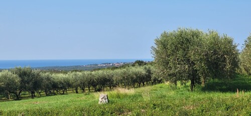 GRAĐEVINSKA PARCELA S PREDIVNIM POGLEDOM,KAŠTELIR