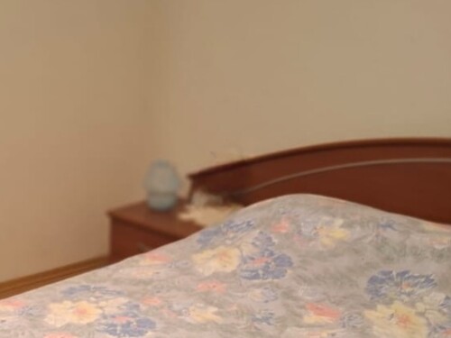 Thumbnail 4782985 - 11