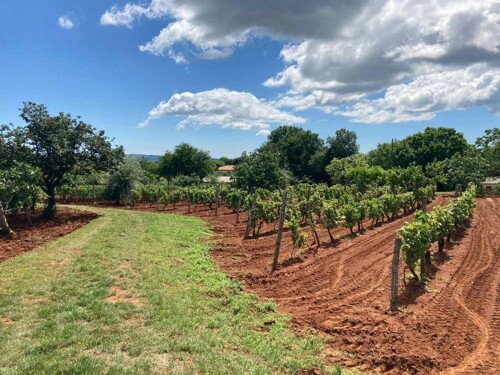 Thumbnail 4782990 - 4